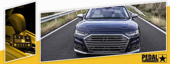 PC200 / Audi / S8 / D5 (2020+) / (4,0 l TFSI-Biturbo-V8)