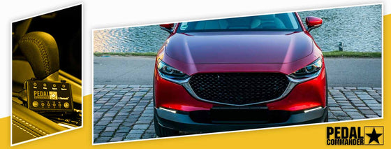 PC41 / Mazda / CX3 / DK (2016+) / (2,0 l)
