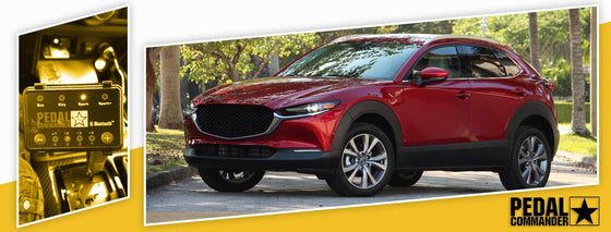 PC41 / Mazda / CX30 / DM (2020+) / (2,0 l)