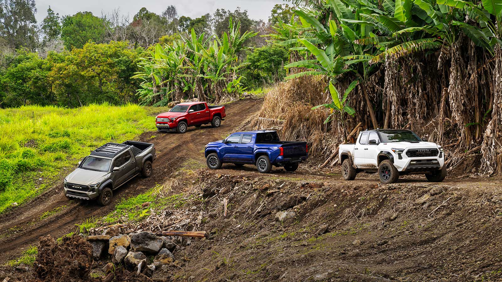 Official Numbers are In: Best-Selling Trucks of 2025