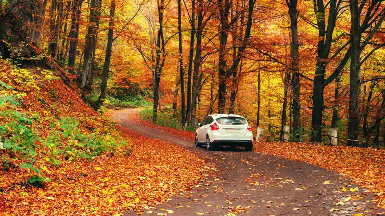 Wie bereiten Sie Ihr Auto auf den Herbst vor?