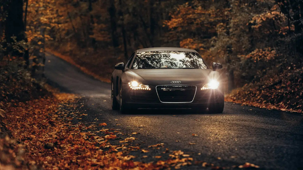 Bestes Autozubehör für den Herbst zur Steigerung von Komfort, Sicherheit und Leistung