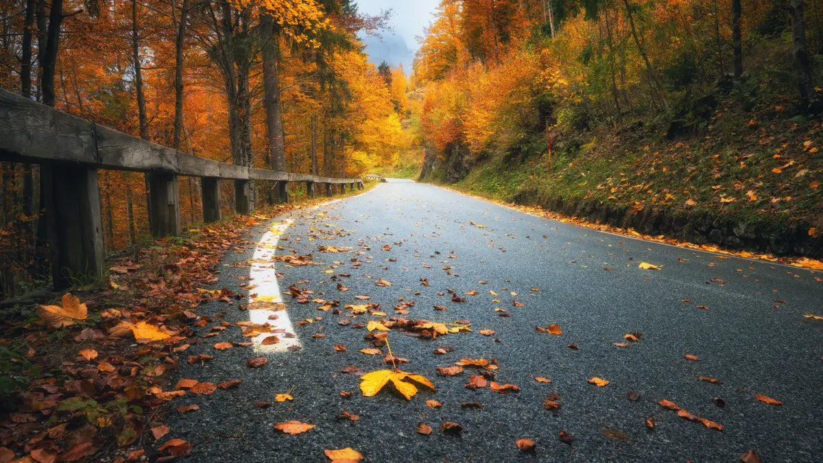 So machen Sie Ihr Fahrzeug fit für den Herbst und Winter