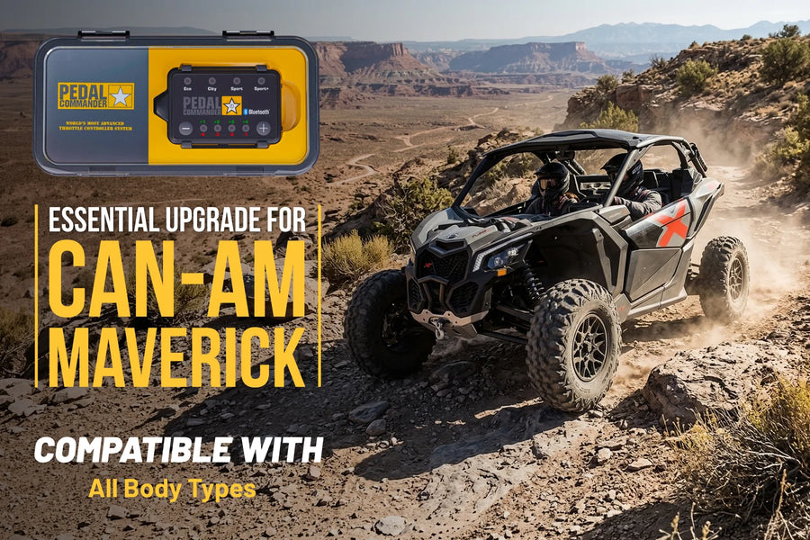 Can-Am Maverick Alle Karosserietypen (2014+) (Alle Motoren)