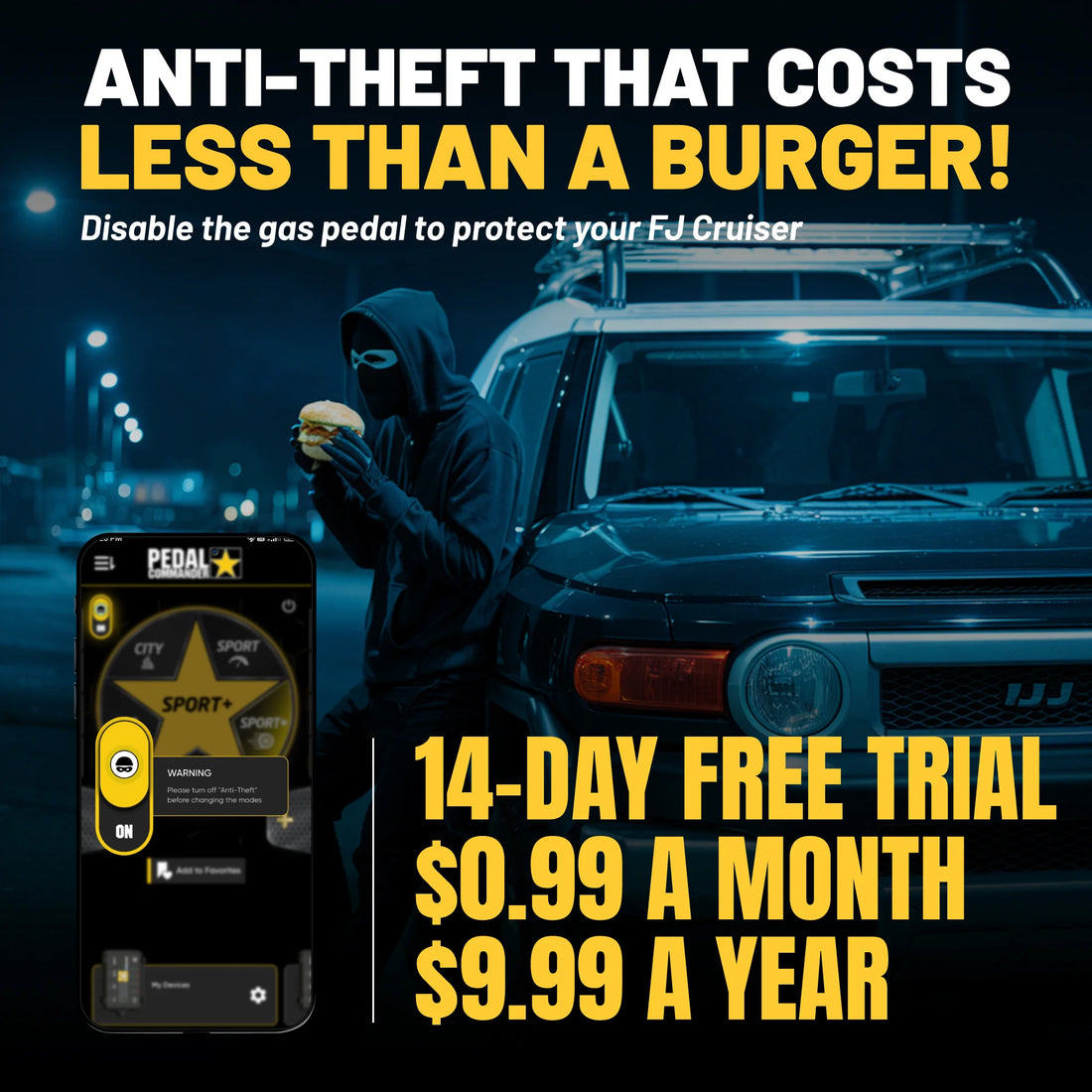 gallery-theft-Toyota-FJ-Cruiser